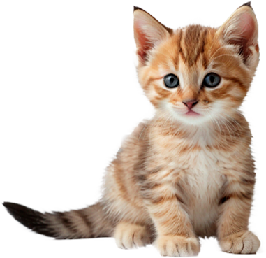 Gatitos